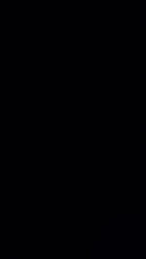 A96101aebdc6a4ce68f7a996bdeb64d66p.jpg